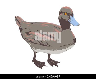 Art Deco or WPA poster of a blue billed duck or Oxyura australis viewed from side on isolated white background done in works project administration st Stock Vector