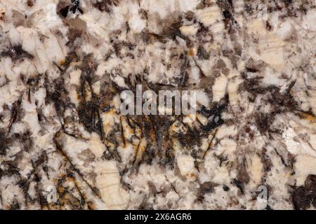 Stylish Alaska white granite, texture in beautiful classic colors. Stock Photo