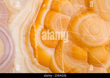 Excellent onice background in your adorable light beige color. Stock Photo