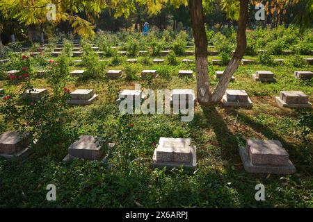 View of the lined up, simple gravestones. At the Soviet Great Patriotic War, WWII Memorial in Tashkent, Uzbekistan. Stock Photo