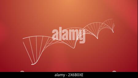 White lines forming DNA helix pattern floating on a red background Stock Photo