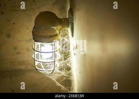 Old but still not working light bulbs, not cleaned, cobwebs attached. Stock Photo
