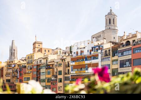 GIRONA TEMPS DE FLORS - Flower Time Festival. View of the Cathedral and the colorful houses of the Onyar river Stock Photo