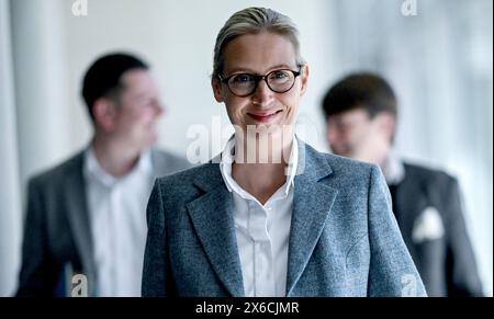 Berlin, Germany. 14th May, 2024. Alice Weidel, Chairwoman of the AfD parliamentary group, attends the weekly parliamentary group meeting. Credit: Britta Pedersen/dpa/Alamy Live News Stock Photo