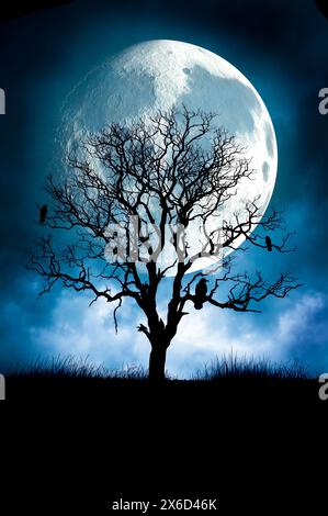 tree silhouette with crows standing on branches, in front of a full moon at night Stock Photo