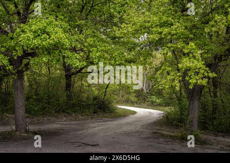A dirt road winds through the oak forest. Abruzzo, Italy, Europe Stock Photo