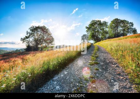 Amazing countryside landscape of romanian village Rogojel with forested hills and grassy meadows in mountains. Location: Rogojel, Cluj County, Romania Stock Photo