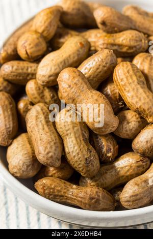 Spicy Southern Cajun Boiled Peanuts for a Snack in a Bowl Stock Photo