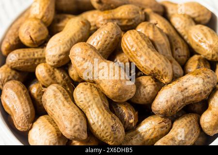 Spicy Southern Cajun Boiled Peanuts for a Snack in a Bowl Stock Photo