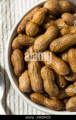 Spicy Southern Cajun Boiled Peanuts for a Snack in a Bowl Stock Photo
