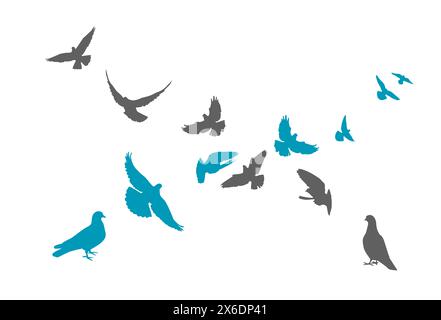 Flocks of flying pigeons isolated on white background. Pigeons are standing on the ground. hand drawing. Not AI, Vector illustration Stock Vector