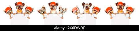 Fixing computer and repair center concept with cute dogs. Template for web page with 404 error, page is lost and not found message, under construction Stock Photo