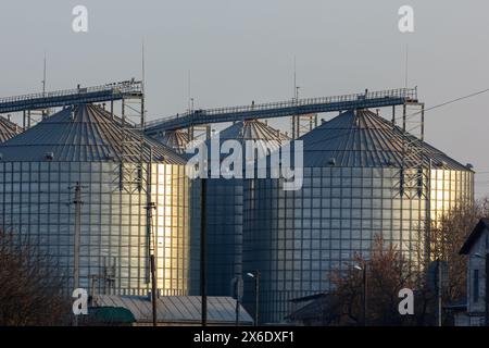 A large modern plant for the storage and processing of grain crops. view of the granary on a sunny day. Large iron barrels of grain. silver silos on a Stock Photo