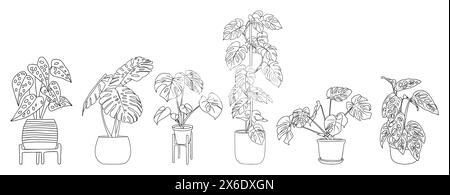 Set of Monstera Houseplants outline drawings. Indoor exotic flowers in pots line art for home interior plans, design. Vector illustrations isolated on Stock Vector