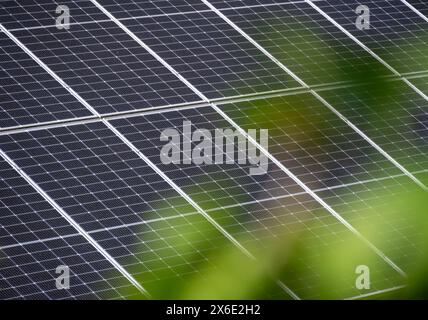 Close-up of solar panel surface with natural greenery Stock Photo