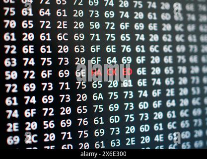 Dramatic digital security breach concept, 'hacked' alert on computer screen Stock Photo