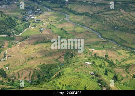 Scenes from the rice harvest, Mu Cang Chai, Yen Bai, Vietnam Stock Photo