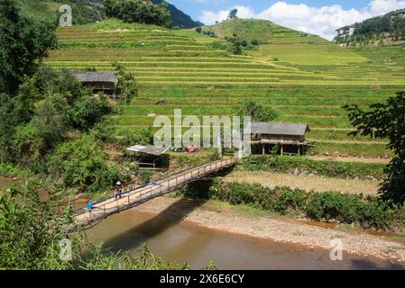 Scenes from the rice harvest, Mu Cang Chai, Yen Bai, Vietnam Stock Photo