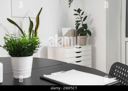 Folders with plant and lamp on drawers in office Stock Photo