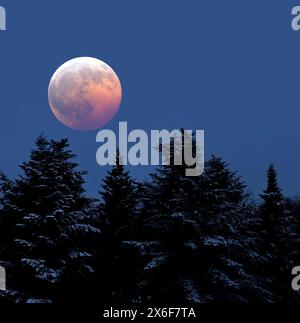 Total lunar eclipse. Stock Photo