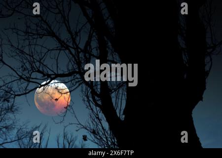 Total lunar eclipse. Stock Photo
