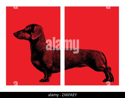 dachshund dog artwork, dachshund poster, wiener or sausage dog set posters, pop art style for home decoration Stock Vector