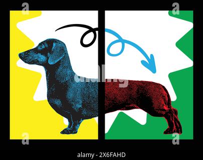 dachshund dog artwork, dachshund poster, wiener or sausage dog set posters, pop art style for home decoration, art prints for interior Stock Vector