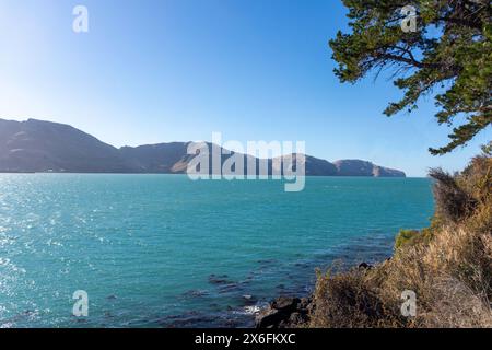 Godley Heads from Mt Herbert Walkway, Waipapa Avenue, Diamond Harbour, Lyttelton Harbour, Banks Peninsula, Canterbury, New Zealand Stock Photo