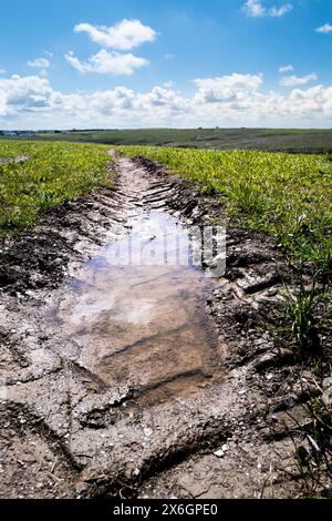 A closeup of a muddy tractor tyre track rut across a farm field on West Pentire in Newquay in Cornwall in the UK. Stock Photo