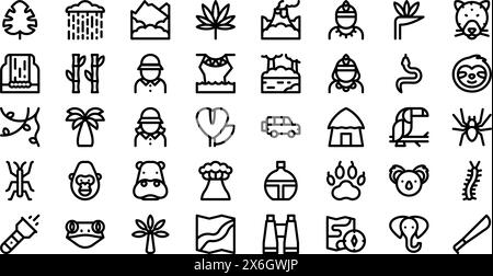 Jungle Icons Stock Vector