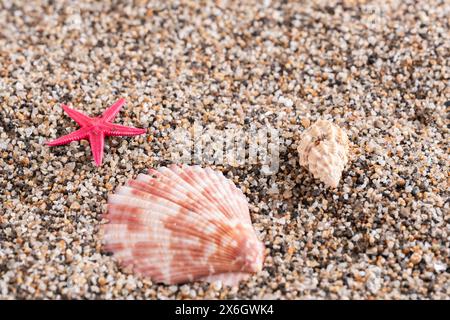 Seashells and red starfish on beach sand Stock Photo