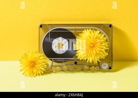 A vintage cassette tape with dandelion flowers in full bloom on a yellow background. Stock Photo