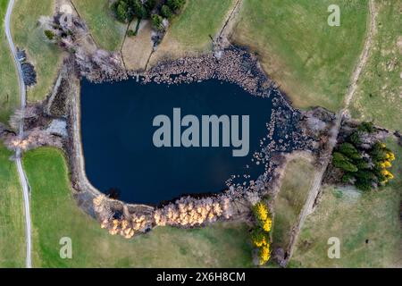 lake from above, pond, drone perspective, grass, meadow, forest Stock Photo