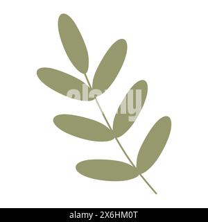 Flat Green Palm tree Branch, Cartoon Acacia Leaves. Closeup isolated Illustration on white background. Vector Botany design Element for Card, Spring H Stock Vector