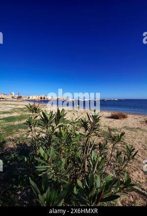 Italy, Sicily, Marzamemi (Siracusa province), fishing boats in the harbour and the old tuna fishing factory buildings Stock Photo