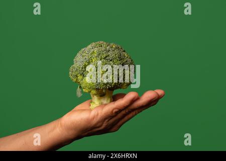 Green Wellness Grasp: Hand Holding Broccoli on a Vibrant Background Stock Photo