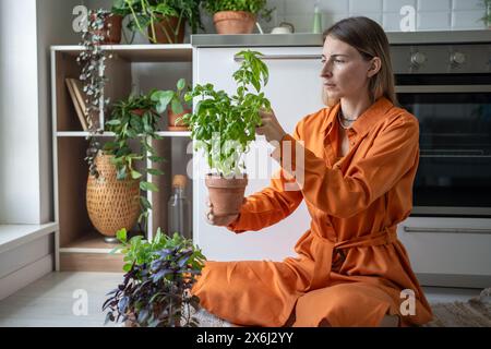 Focused woman takes care of home-grown basil plant sits on kitchen floor cuts herbs tends harvests. Stock Photo