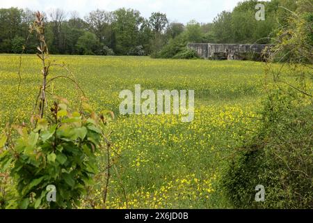 Abandoned artillery casemate at the 2nd World War defensive Fort Eben-Emael, now a museum, Bassenge, Belgium. Stock Photo