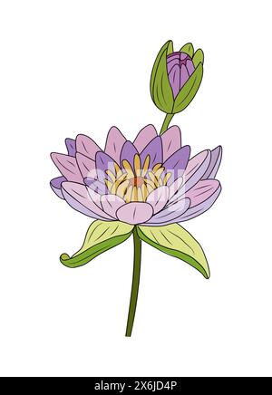Water Lily, July birth month flower, hand drawing Stock Vector