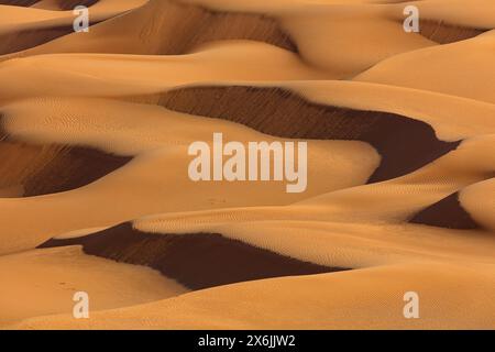 Landschaft im Oman, Oman, Sand, Wüste, Düne, Dünen, Dünenformation,  Empty Quarter, Rub al-Chali, Struktur, grösste Wüste der Erde, Stock Photo