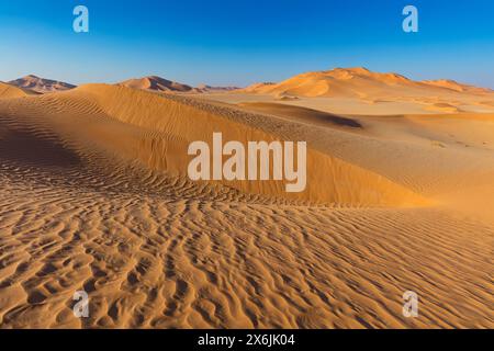 Landschaft im Oman, Oman, Sand, Wüste, Düne, Dünen, Dünenformation,  Empty Quarter, Rub al-Chali, Struktur, grösste Wüste der Erde, Stock Photo