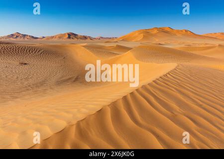 Landschaft im Oman, Oman, Sand, Wüste, Düne, Dünen, Dünenformation,  Empty Quarter, Rub al-Chali, Struktur, grösste Wüste der Erde, Stock Photo