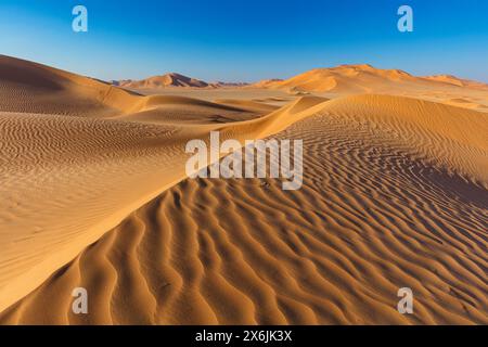 Landschaft im Oman, Oman, Sand, Wüste, Düne, Dünen, Dünenformation,  Empty Quarter, Rub al-Chali, Struktur, grösste Wüste der Erde, Stock Photo