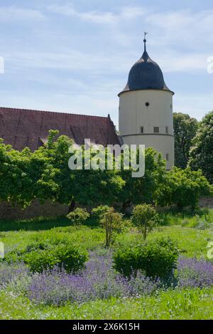 Monastery garden in Schoental, herb garden, herbal pharmacy, Way of St James, monastery pharmacy, Cistercian, Cistercian monastery, monastery, Jagst Stock Photo