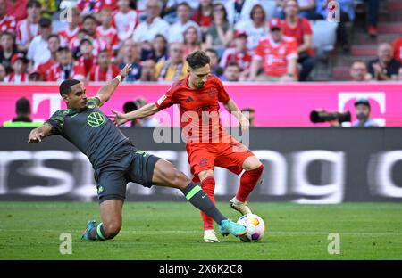 Tackle, action Bryan Zaragoza FC Bayern Munich FCB (17) against Maxence Lacroix VfL Wolfsburg (04) Allianz Arena, Munich, Bavaria, Germany Stock Photo