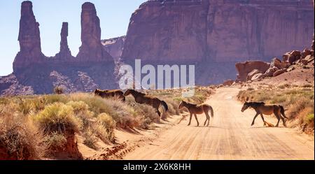 Wild horses crossing the trail in front of the Three Sisters rock formation inside Monument Valley, Arizona, USA on 21 April 2024 Stock Photo