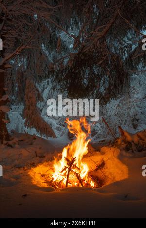 Campfire in the forest in winter with snow Stock Photo