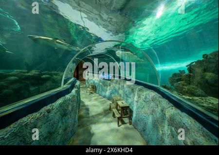 Aquarium Schleswig Holstein
