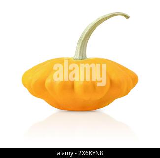 Orange bush pumpkins isolated on white background for Thanksgiving or Halloween. Stack of vegetables set. Halloween, design, autumn. Nature concept Stock Photo