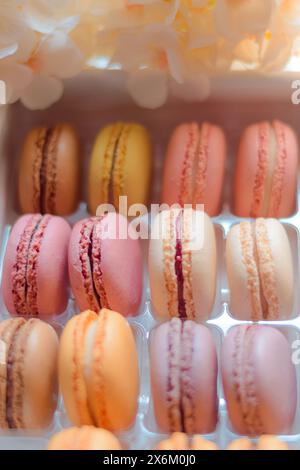 Homemade macaroon of different flavors, with a nice and colorful background, gourmet presentation. Stock Photo